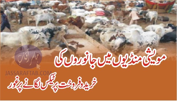 مویشی منڈیوں میں جانوروں کی خریدو فروخت پر ٹیکس لگانے پر غور