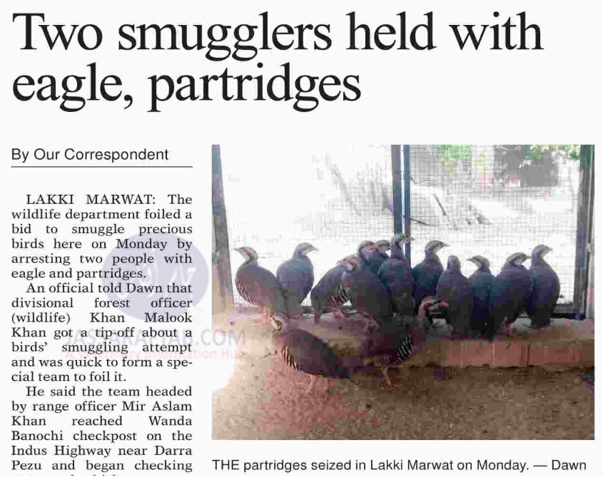 Precious birds smuggling | Eagle and Partridges