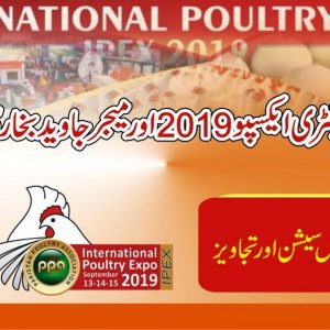 International Poultry Expo Suggestions