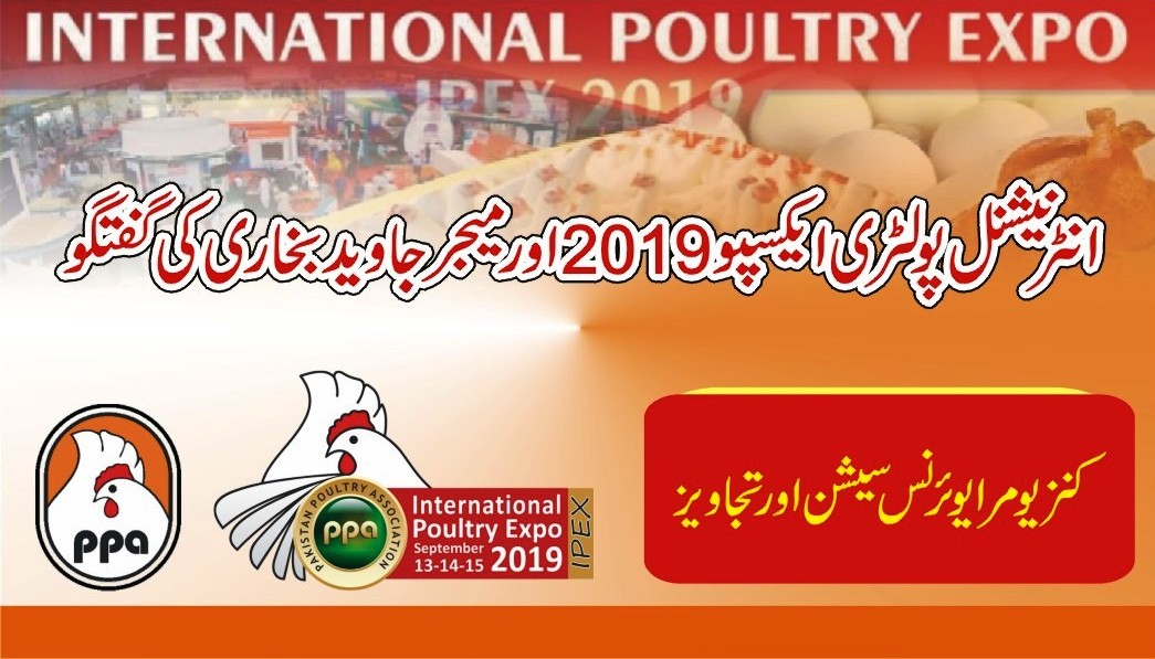 International Poultry Expo Suggestions