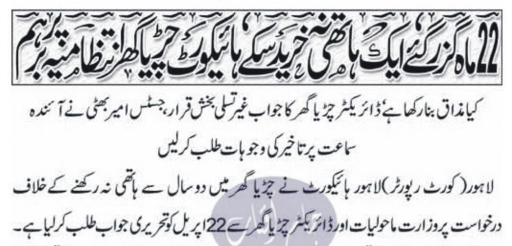 Elephant for Lahore Zoo