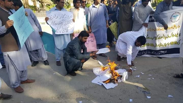 Burning of Degrees by Veterinary Doctors