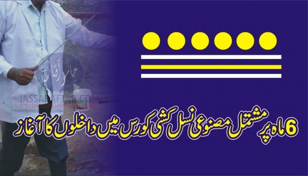 Artificial Insemination Admission