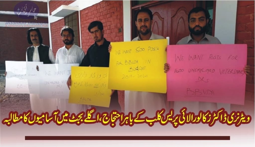 Lora Lai Press Club Protest