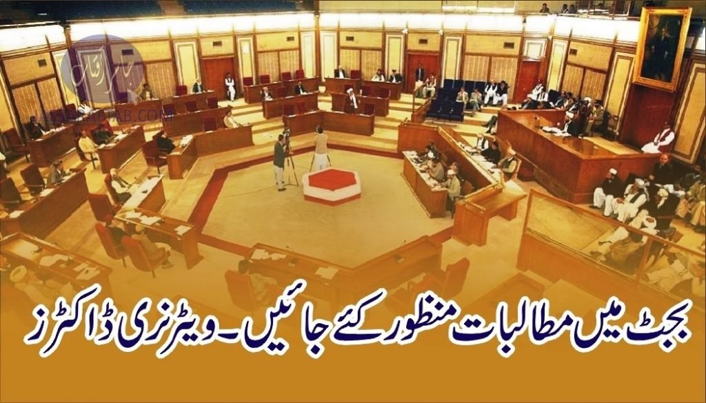 Balochistan berozgar veterinary doctor association