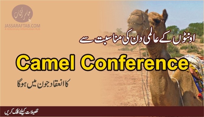 world camel day Conference