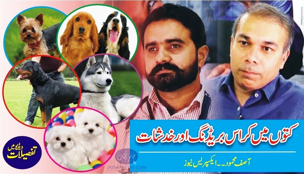 Issues of Dog Crossbreeding in Pakistan
