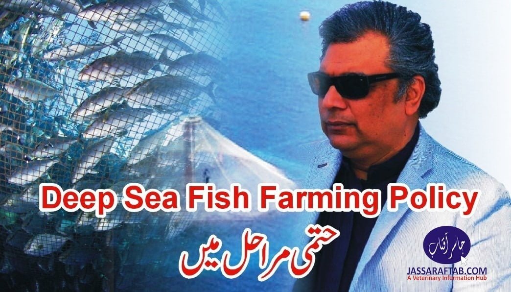 Deep sea fish farming Policy