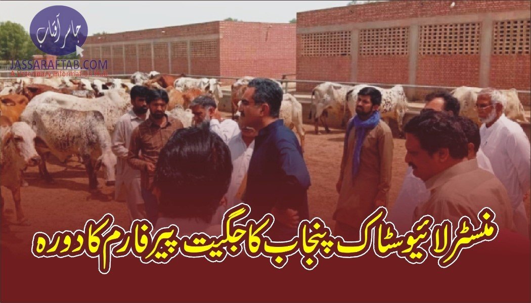 Minister Livestock Punjab visited livestock farm
