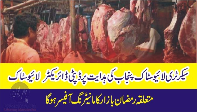 Deputy Director Livestock will be the Monitoring Officer of the concerned Ramazan market