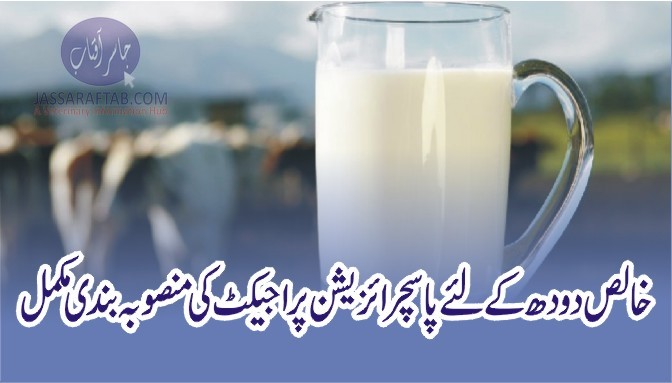 خالص دودھ کے لئے پاسچرائزیشن پراجیکٹ کی منصوبہ بندی مکمل