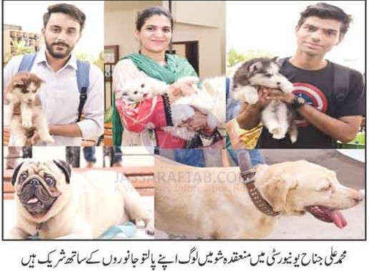 Pet show held at Muhammad Ali Jinnah University Karachi