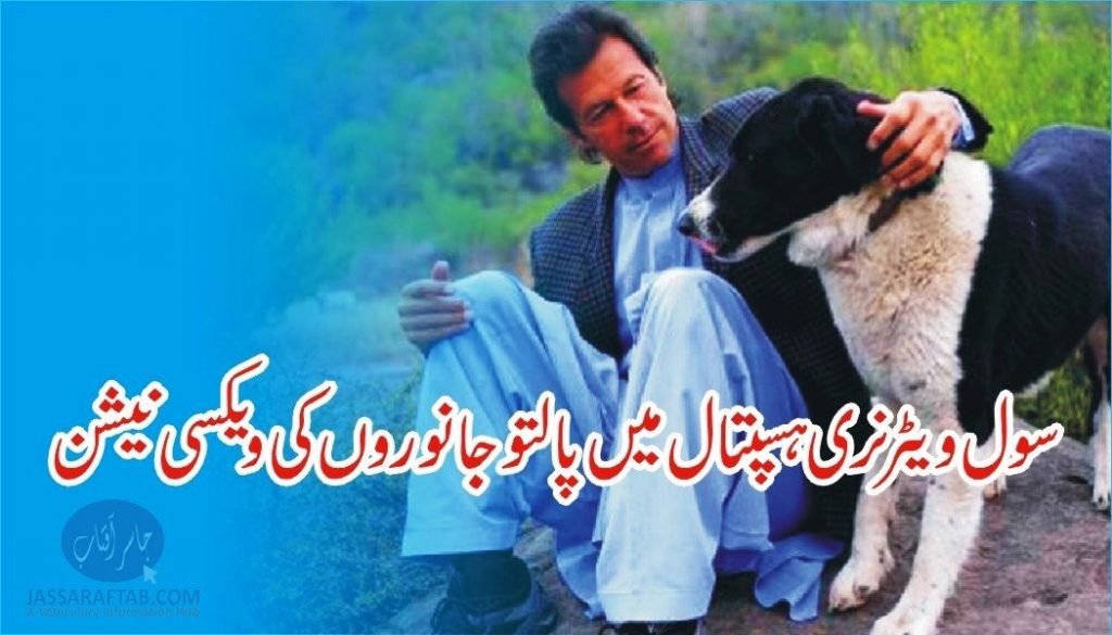 Pets day organized at CVH