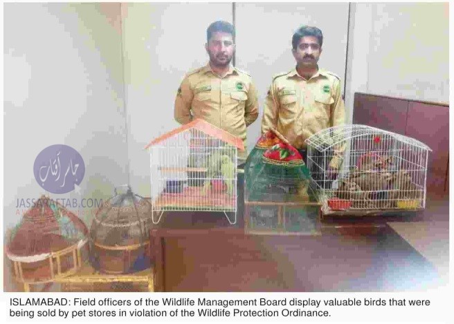Raid on Pet store by Wildlife Department