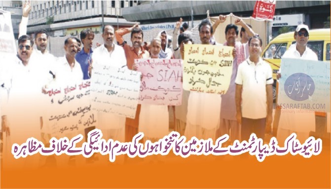 لائیوسٹاک ڈیپارٹمنٹ کے ملازمین کا تنخواہوں کی عدم ادائیگی کے خلاف مظاہرہ