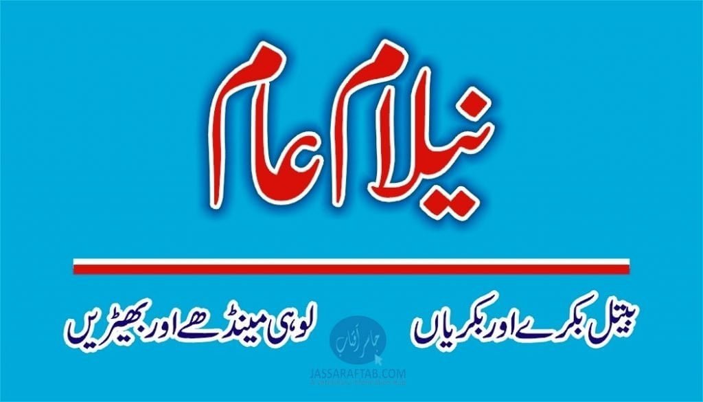 Beetal Goat and Lohi Sheep auction