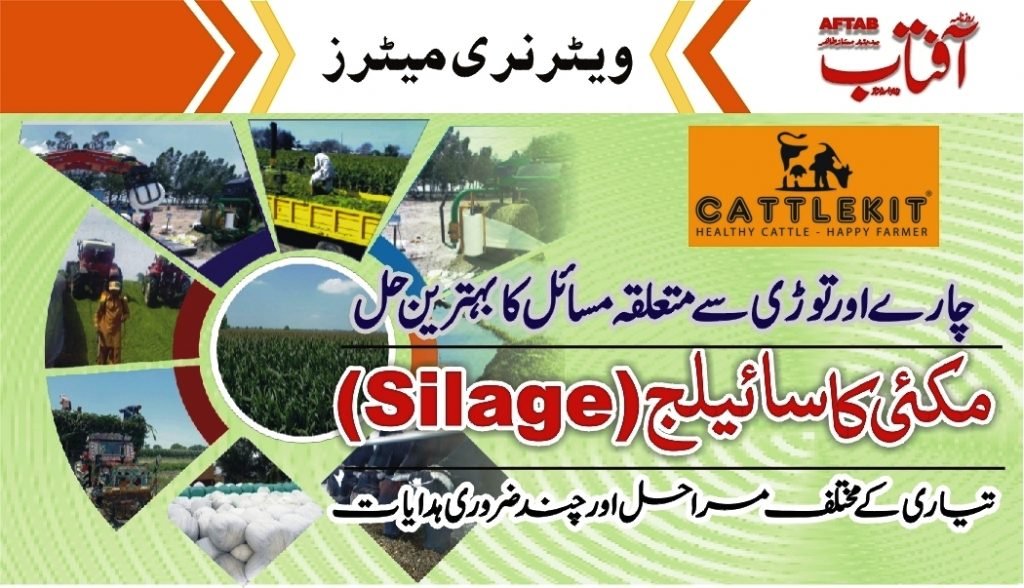 Fodder chopping, silage bunker,and silage fermentation process.