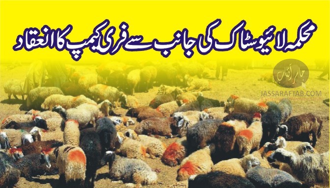 Vaccination Camp for Livestock