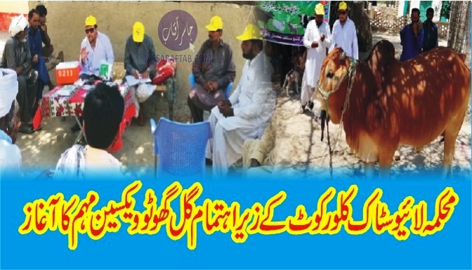 Vaccination campaign by Livestock department