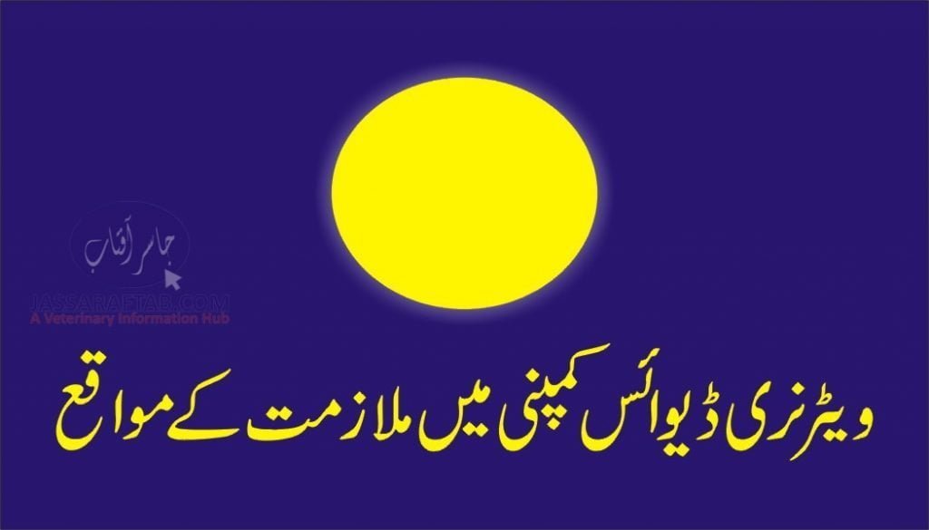 Veterinary Devices Company Job