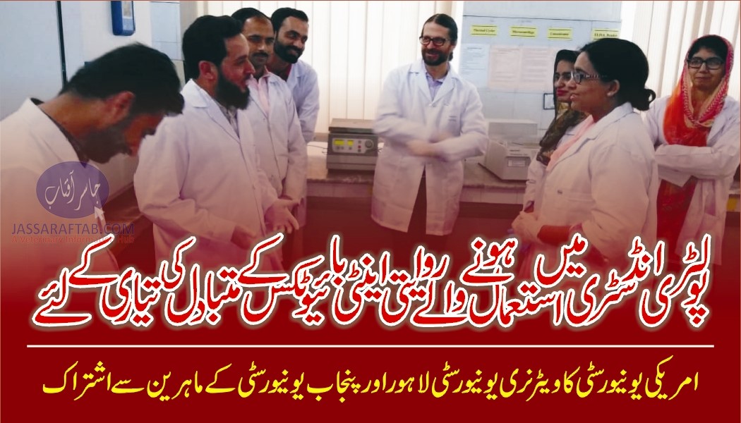 Scientist from Lahore join international team developing alternatives to antibiotics for poultry industry