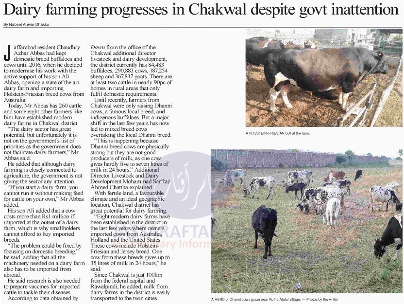 Dairy farming progresses in Chakwal 