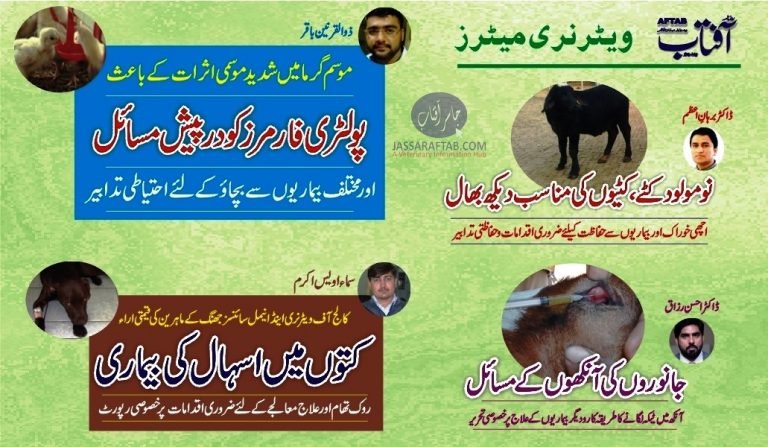 veterinary articles and veterinary information