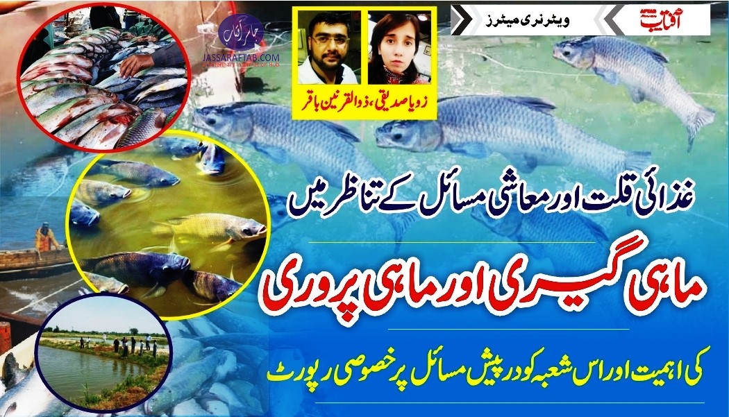 Fish production in Pakistan and nutritional value of fish