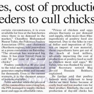 Poultry Crisis and chicks culling, High taxes and high cost of production
