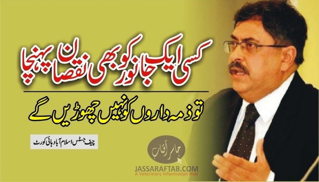 Islamabad High Court remarks on animal welfare