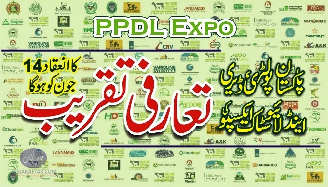 PPDL Expo Karachi