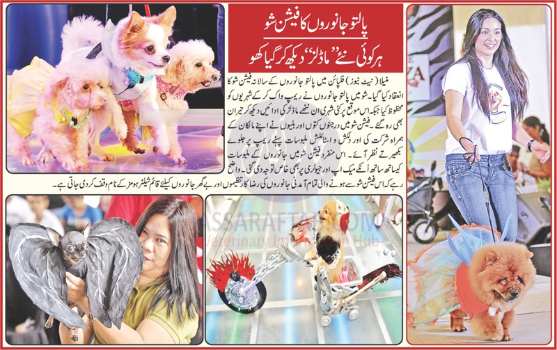 Pet animals fashion show with Models