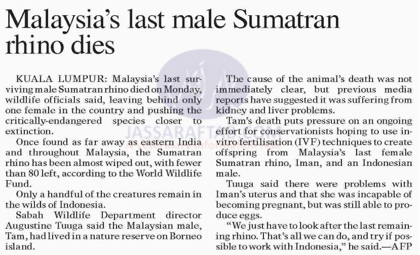 Last Sumatran Rhino died