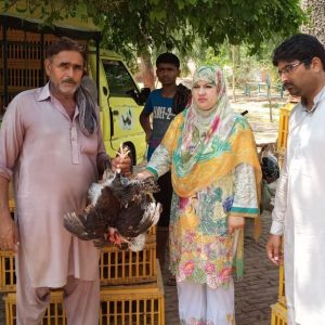 Distribution of Poultry Units in Sahiwal