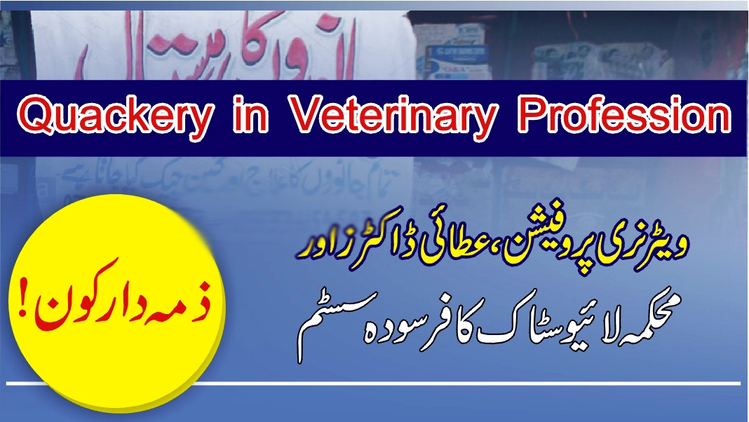 Quackery Veterinary Profession