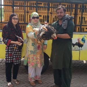Poultry Distribution Project