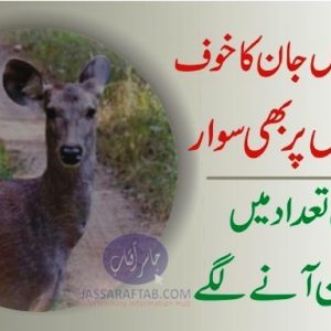 Indian animals in Pakistan
