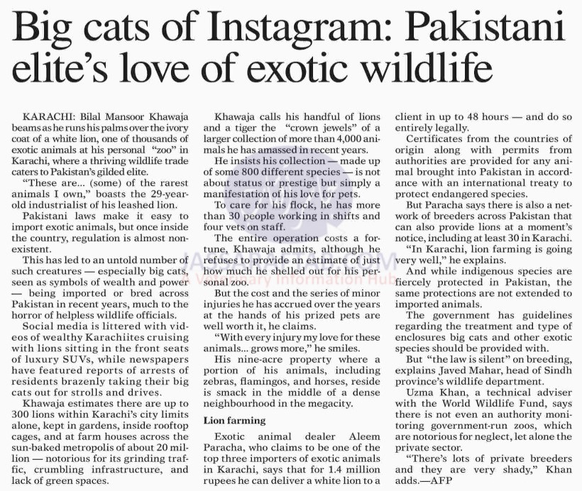 Exotic wildlife | Love for wildlife pets in Pakistan 