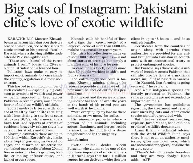 Exotic wildlife | Love for wildlife pets in Pakistan 