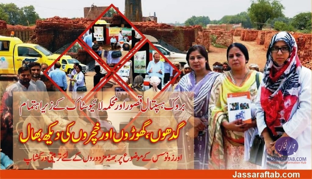 Training workshop for Brick Kiln labour on Livestock Training