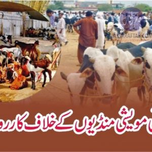 action against illegal cattle markets