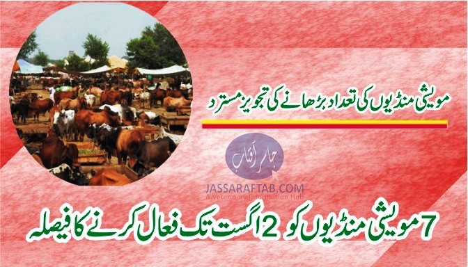 7 مویشی منڈیوں کو 2 اگست تک فعال کرنے کا فیصلہ