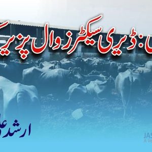 Dairy Farming in Karachi