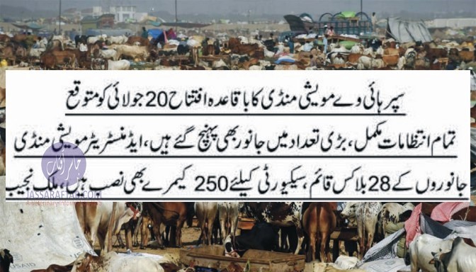 Super highway cattle market inaugurated for Eid