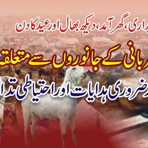 How to purchase Qurbani Animals and their care