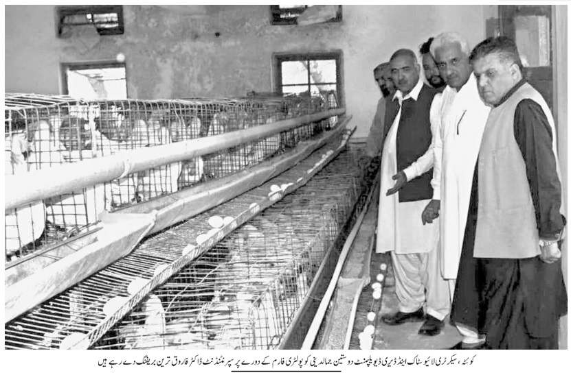 Budget for poultry farms
