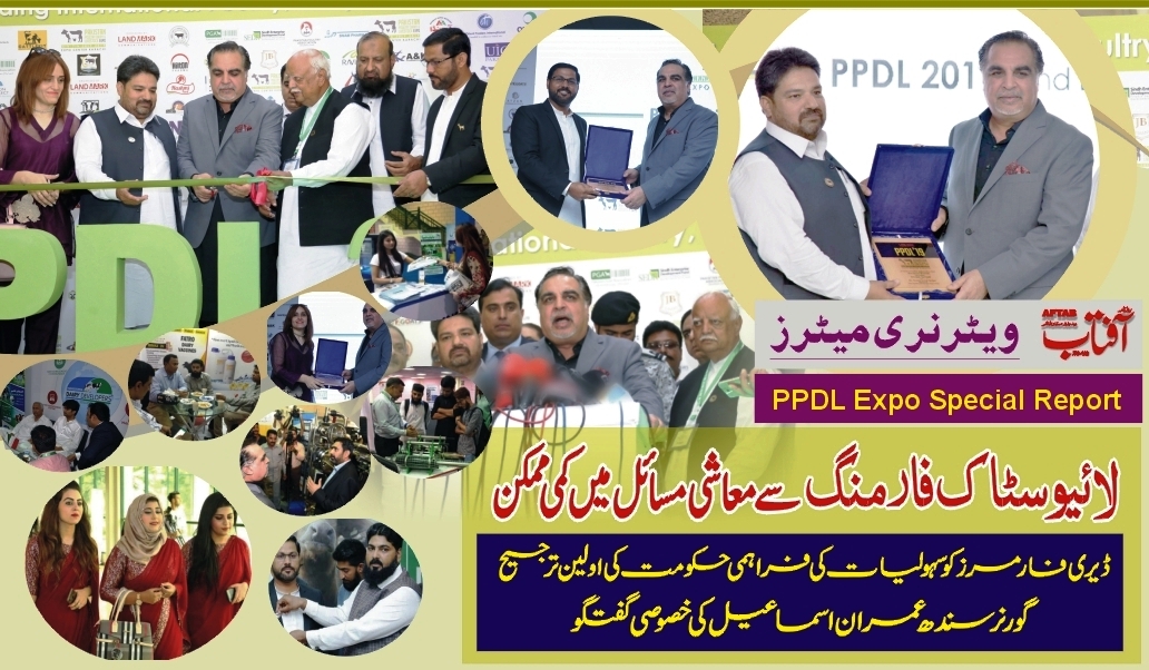DCFA Pakistan PPDL Report