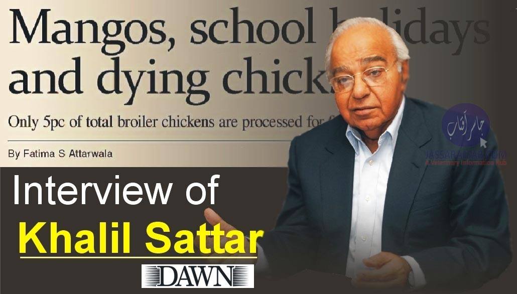 Interview of Khalil Sattar CEO K&Ns