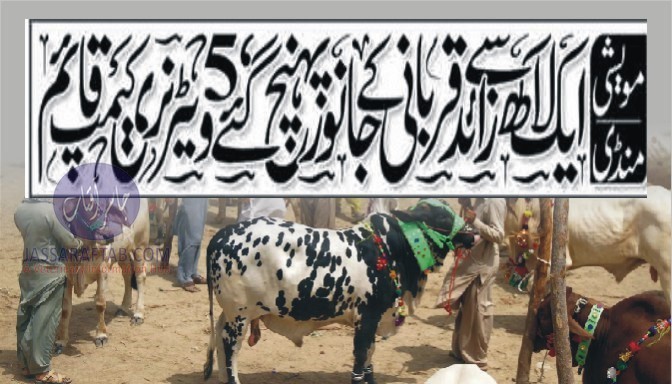 Veterinary camps in cattle market