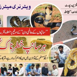 Importance of Snakes in Ecosystem | Snake Handling and snake Management